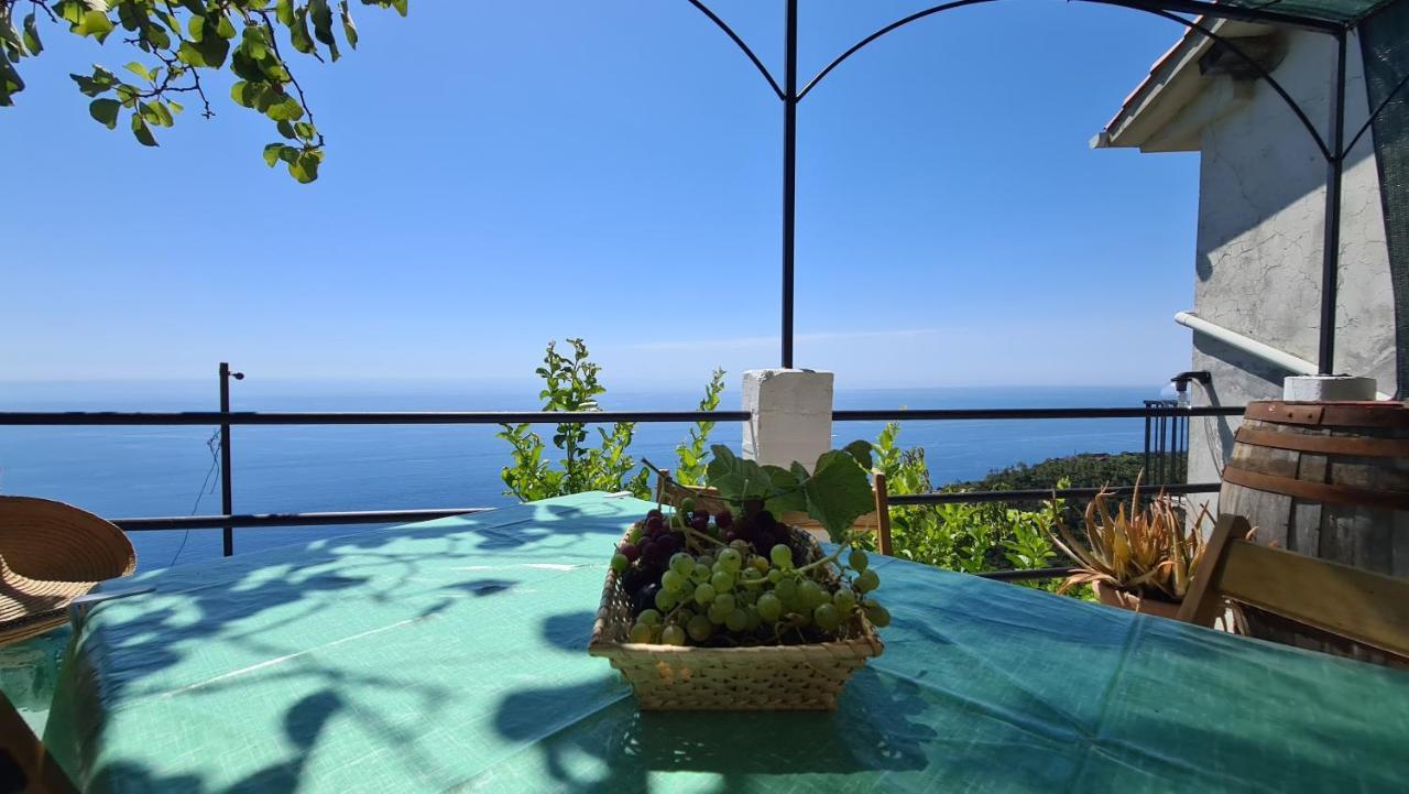 Sunset - Homy 5 Terre Retreat Apartment *