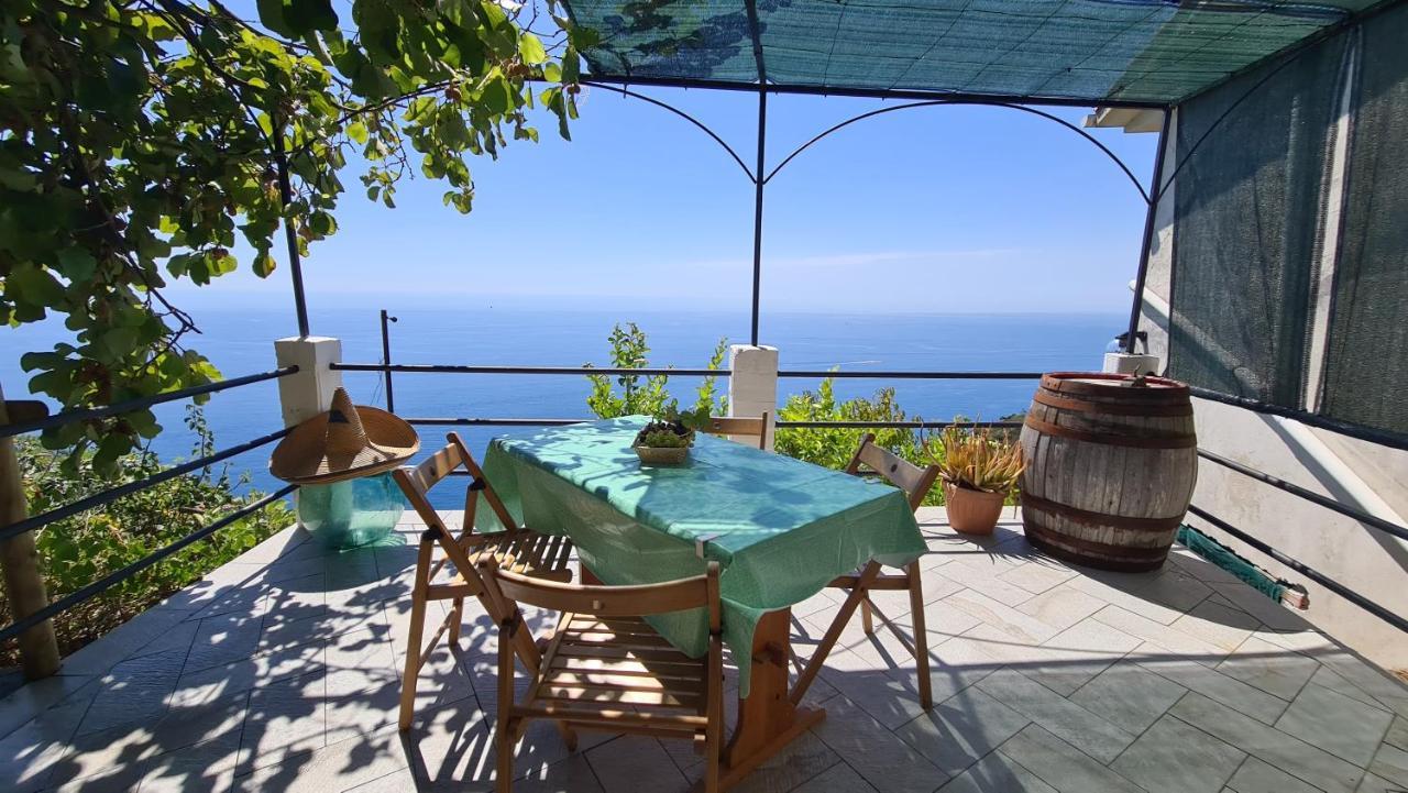 Sunset - Homy 5 Terre Retreat Apartment Biassa